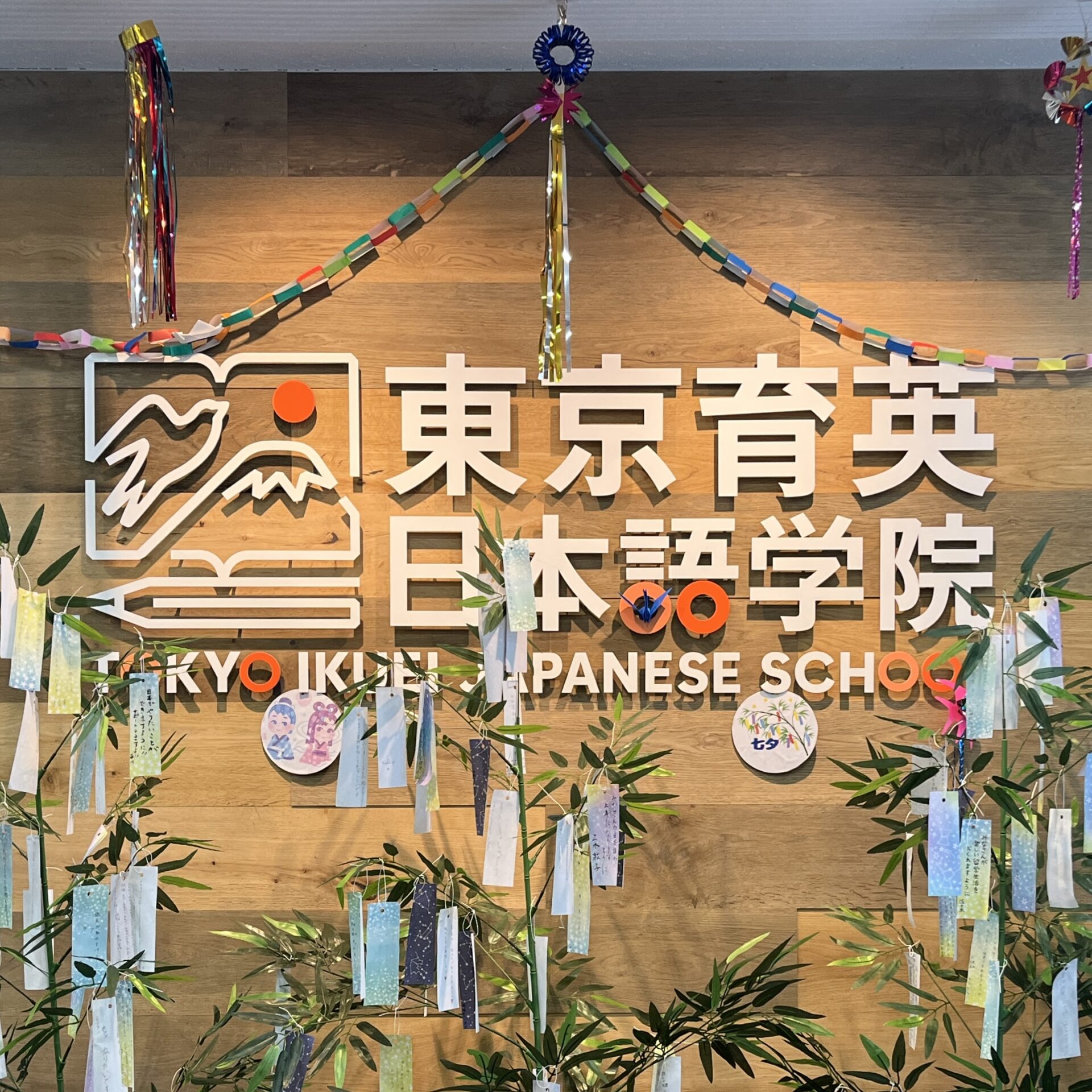 七夕🎋